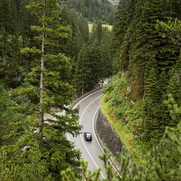 A car on a forest highway